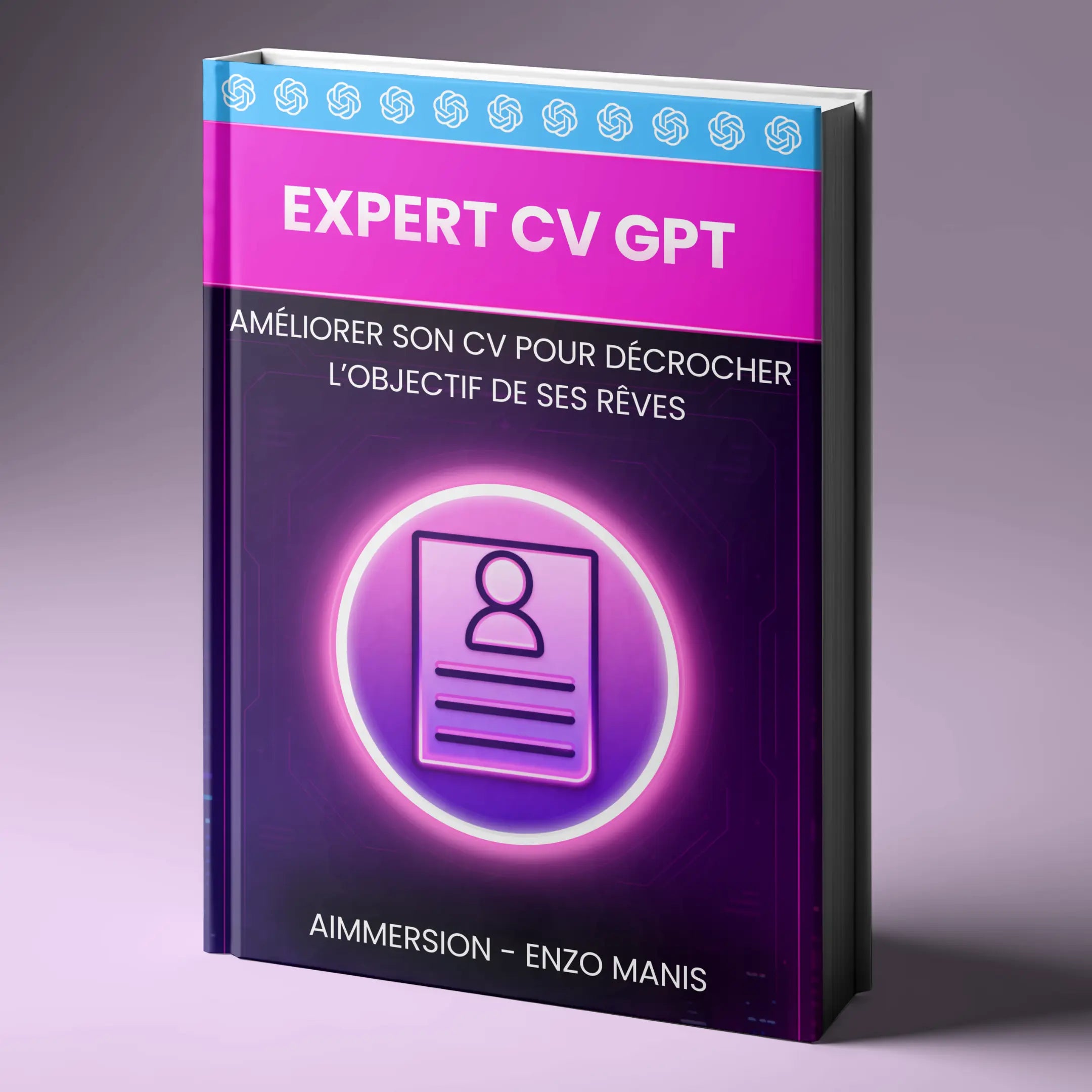 Assistant IA : Expert CV GPT AImmersion