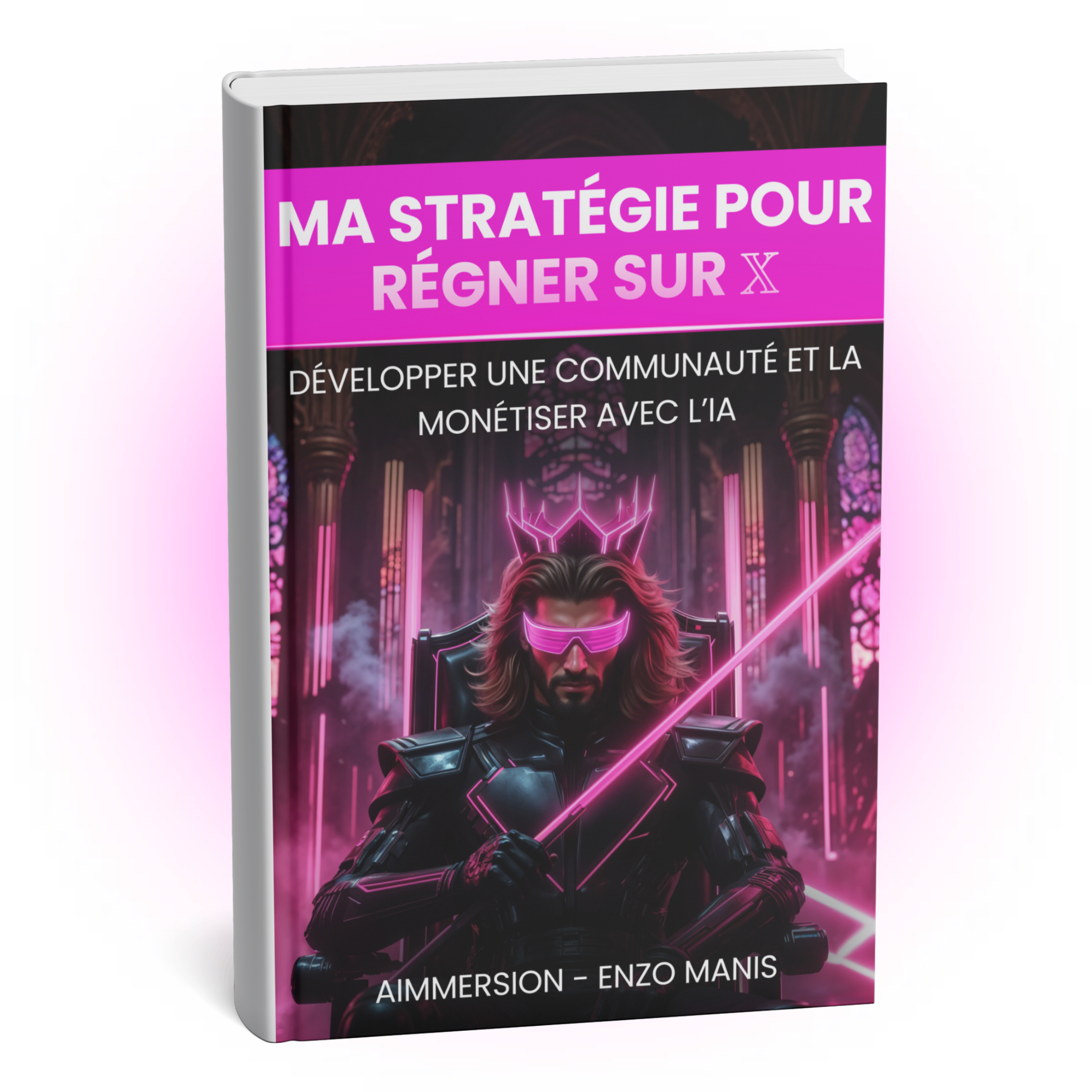 Ebook IA : Ma Stratégie pour Régner sur 𝕏